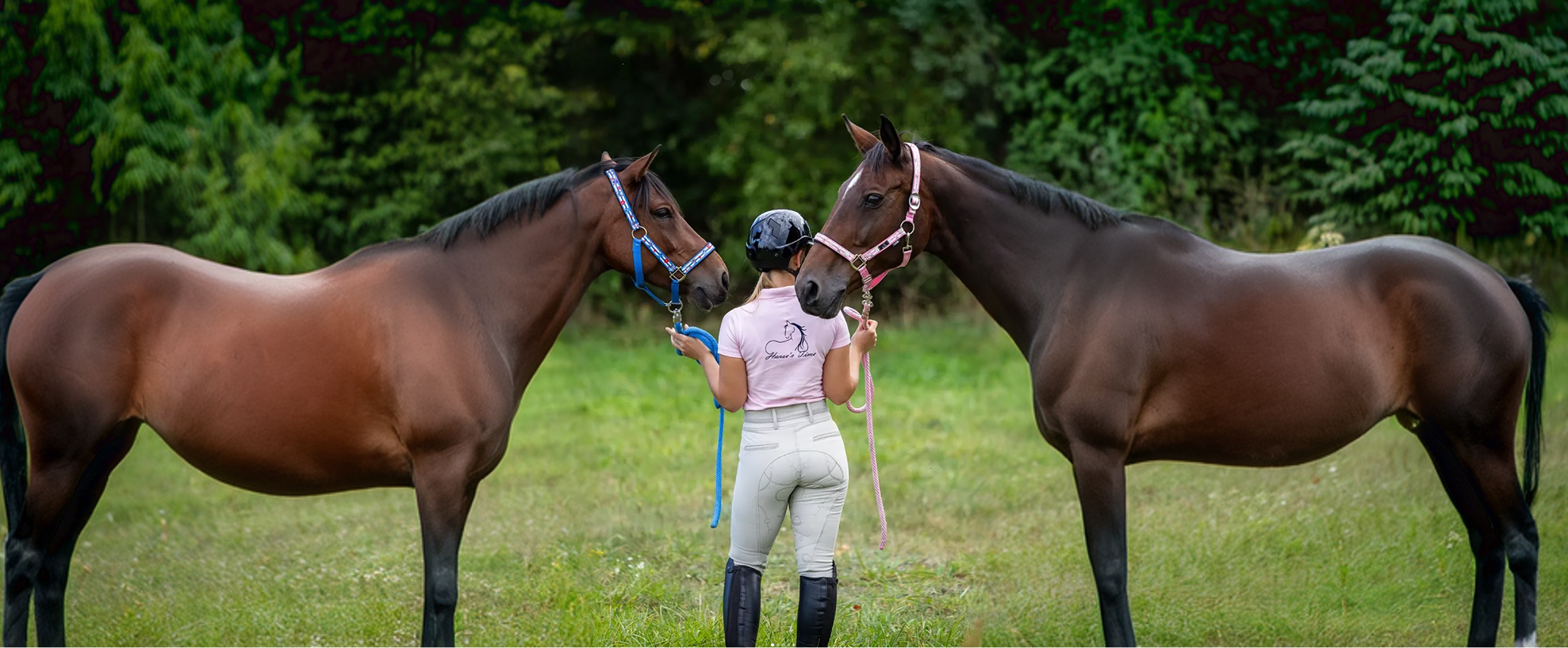 Horses Time Background